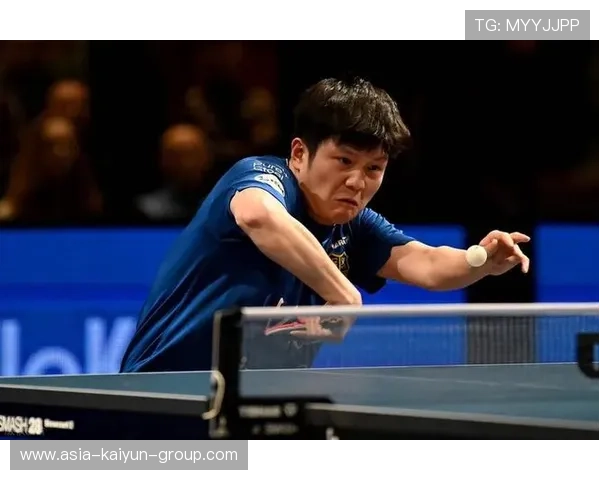 尹航：樊振东反手球神乎其神，状态全面复苏，樊振东反手训练