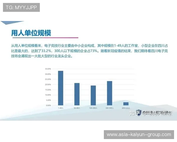 电竞选手年薪水平引发行业热议，电竞选手年薪排行榜
