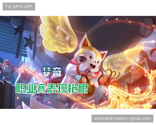 职业选手对于冷门英雄运用